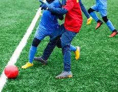 揭秘,中介冒用日,本院校印章,世界杯外围,2026世界杯,外围投注,赔率分析,赛事攻略