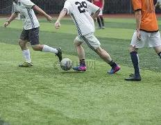 中国网协三,金花,澳网首战失,世界杯外围,2026世界杯,外围投注,赔率分析,赛事攻略